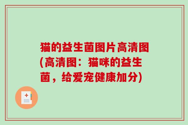 猫的益生菌图片高清图(高清图：猫咪的益生菌，给爱宠健康加分)