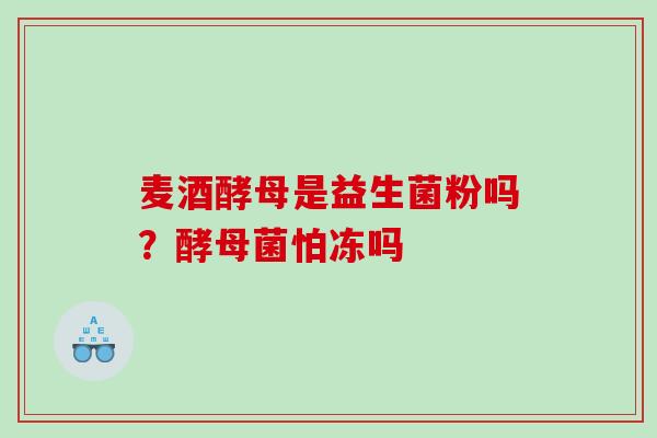 麦酒酵母是益生菌粉吗？酵母菌怕冻吗