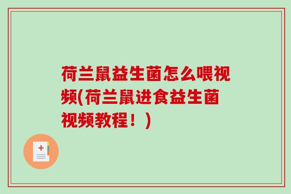 荷兰鼠益生菌怎么喂视频(荷兰鼠进食益生菌视频教程!) 荷兰鼠益生菌怎么喂视频(荷兰鼠进食益生菌视频教程!)