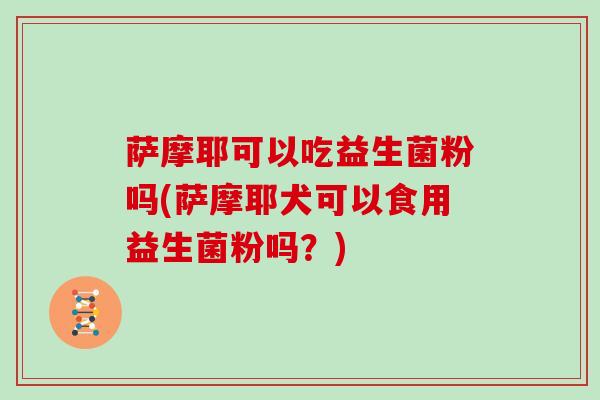 萨摩耶可以吃益生菌粉吗(萨摩耶犬可以食用益生菌粉吗?) 萨摩耶可以吃益生菌粉吗(萨摩耶犬可以食用益生菌粉吗?)