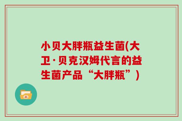 小贝大胖瓶益生菌(大卫·贝克汉姆代言的益生菌产品“大胖瓶”)