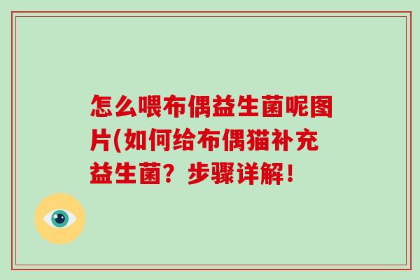 怎么喂布偶益生菌呢图片(如何给布偶猫补充益生菌？步骤详解！