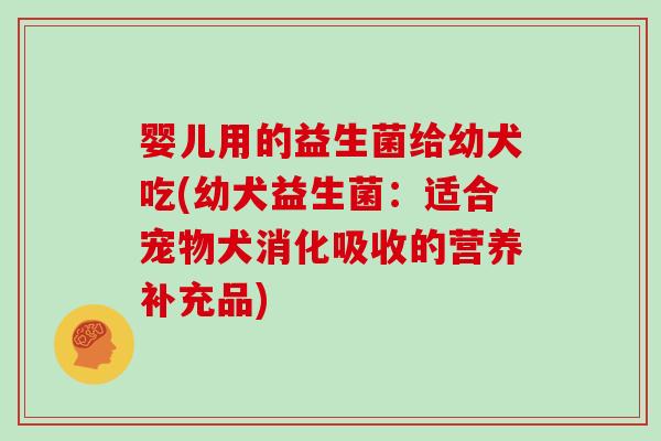 婴儿用的益生菌给幼犬吃(幼犬益生菌:适合宠物犬消化吸收的营养补充品) 婴儿用的益生菌给幼犬吃(幼犬益生菌:适合宠物犬消化吸收的营养补充品)