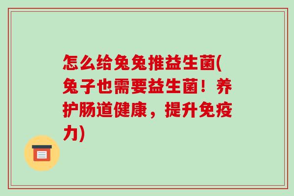 怎么给兔兔推益生菌(兔子也需要益生菌！养护肠道健康，提升力)
