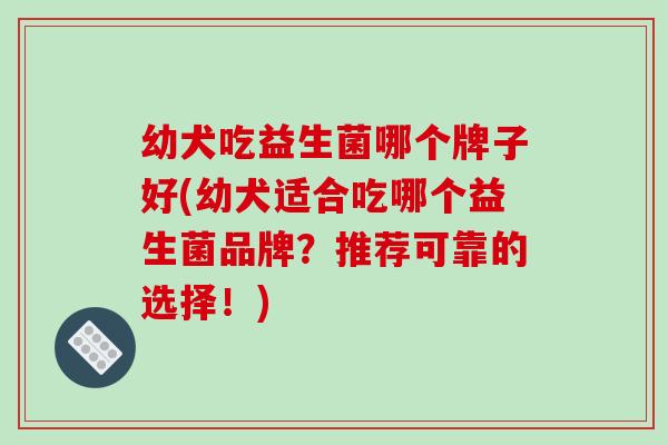幼犬吃益生菌哪个牌子好(幼犬适合吃哪个益生菌品牌？推荐可靠的选择！)