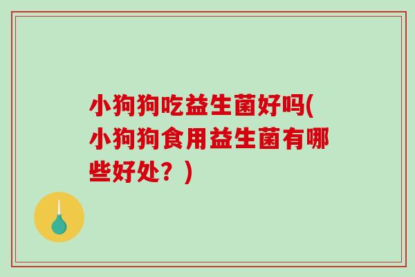小狗狗吃益生菌好吗(小狗狗食用益生菌有哪些好处？)