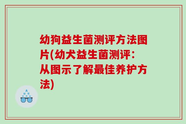 幼狗益生菌测评方法图片(幼犬益生菌测评：从图示了解最佳养护方法)