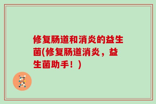 修复肠道和消炎的益生菌(修复肠道消炎，益生菌助手！)