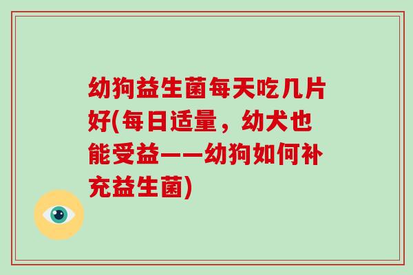 幼狗益生菌每天吃几片好(每日适量，幼犬也能受益——幼狗如何补充益生菌)