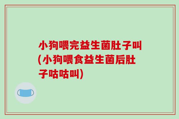 小狗喂完益生菌肚子叫(小狗喂食益生菌后肚子咕咕叫)