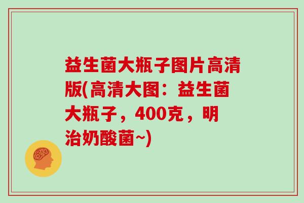 益生菌大瓶子图片高清版(高清大图：益生菌大瓶子，400克，明治奶酸菌~)