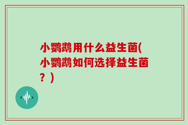 小鹦鹉用什么益生菌(小鹦鹉如何选择益生菌？)