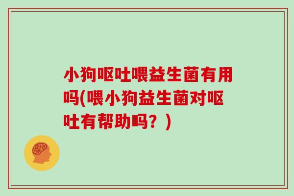 小狗呕吐喂益生菌有用吗(喂小狗益生菌对呕吐有帮助吗？)