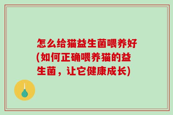 怎么给猫益生菌喂养好(如何正确喂养猫的益生菌，让它健康成长)