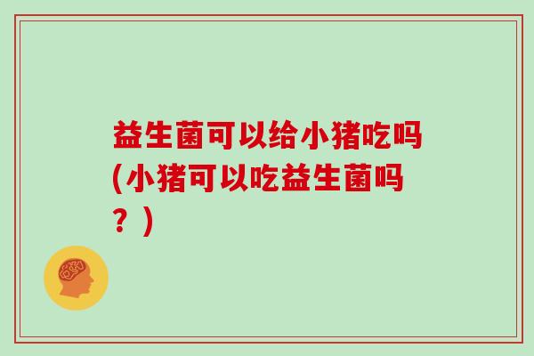 益生菌可以给小猪吃吗(小猪可以吃益生菌吗？)