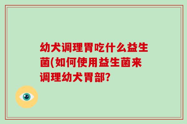 幼犬调理胃吃什么益生菌(如何使用益生菌来调理幼犬胃部？
