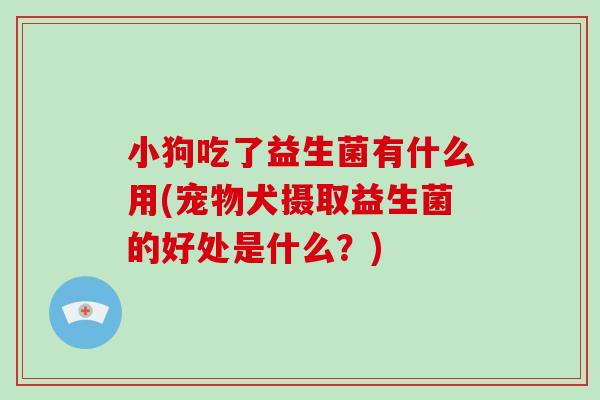 小狗吃了益生菌有什么用(宠物犬摄取益生菌的好处是什么？)