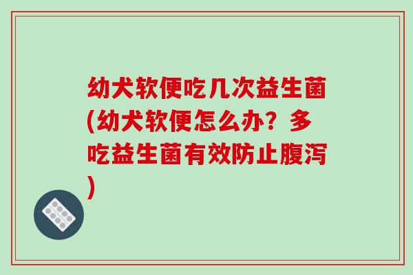 幼犬软便吃几次益生菌(幼犬软便怎么办？多吃益生菌有效防止腹泻)