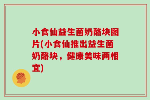 小食仙益生菌奶酪块图片(小食仙推出益生菌奶酪块，健康美味两相宜)