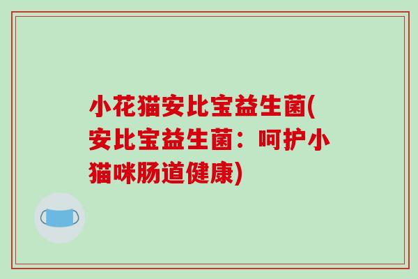 小花猫安比宝益生菌(安比宝益生菌：呵护小猫咪肠道健康)