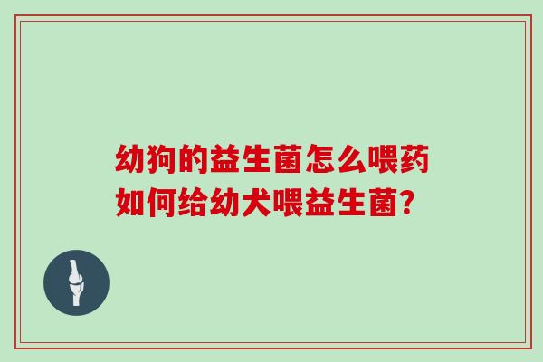 幼狗的益生菌怎么喂药如何给幼犬喂益生菌？
