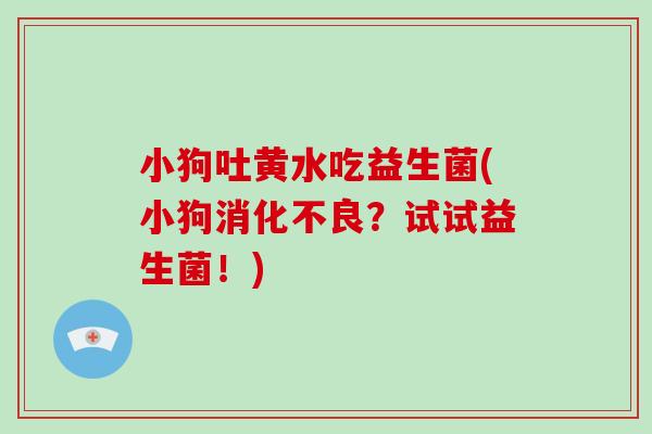 小狗吐黄水吃益生菌(小狗?试试益生菌!) 小狗吐黄水吃益生菌(小狗?试试益生菌!)