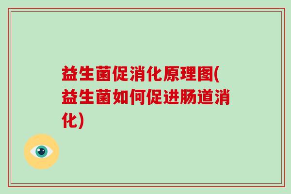 益生菌促消化原理图(益生菌如何促进肠道消化)
