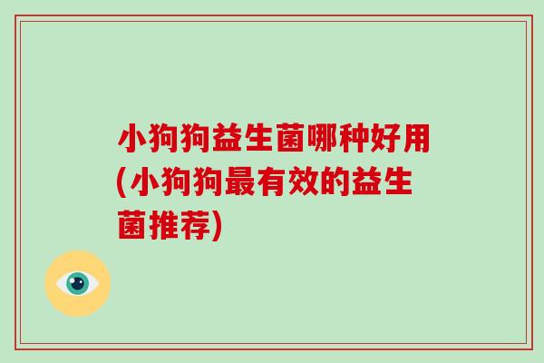 小狗狗益生菌哪种好用(小狗狗最有效的益生菌推荐)