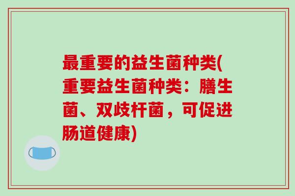 最重要的益生菌种类(重要益生菌种类：膳生菌、双歧杆菌，可促进肠道健康)