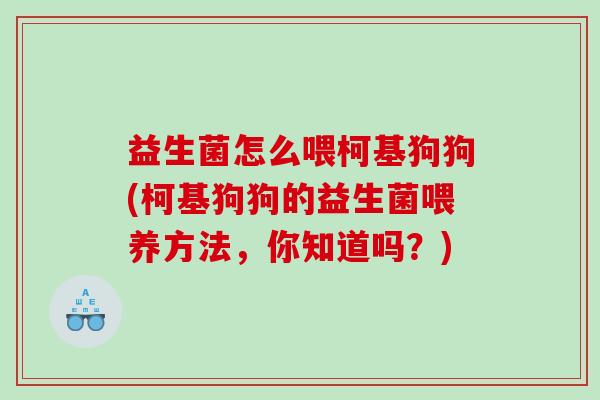 益生菌怎么喂柯基狗狗(柯基狗狗的益生菌喂养方法，你知道吗？)
