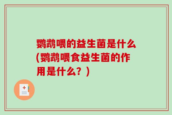 鹦鹉喂的益生菌是什么(鹦鹉喂食益生菌的作用是什么？)