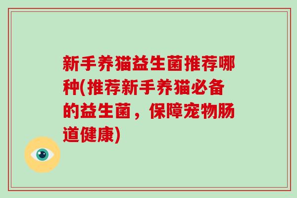 新手养猫益生菌推荐哪种(推荐新手养猫必备的益生菌,保障宠物肠道健康) 新手养猫益生菌推荐哪种(推荐新手养猫必备的益生菌,保障宠物肠道健康)