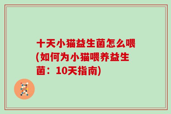 十天小猫益生菌怎么喂(如何为小猫喂养益生菌：10天指南)