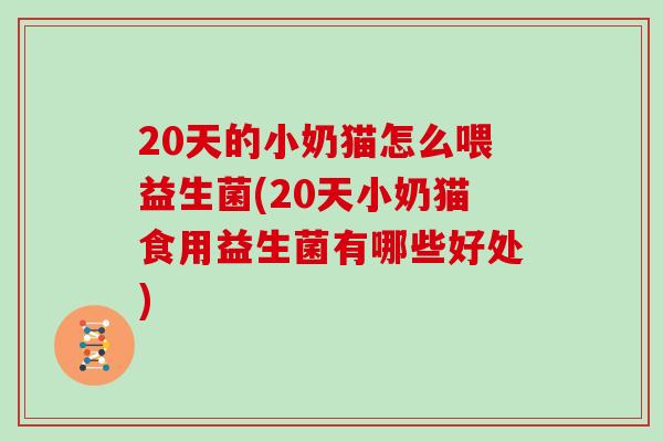 20天的小奶猫怎么喂益生菌(20天小奶猫食用益生菌有哪些好处)