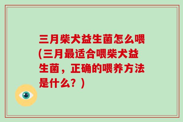 三月柴犬益生菌怎么喂(三月最适合喂柴犬益生菌，正确的喂养方法是什么？)