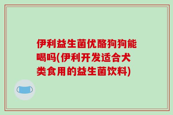伊利益生菌优酪狗狗能喝吗(伊利开发适合犬类食用的益生菌饮料)