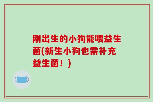 刚出生的小狗能喂益生菌(新生小狗也需补充益生菌！)
