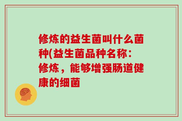 修炼的益生菌叫什么菌种(益生菌品种名称：修炼，能够增强肠道健康的细菌