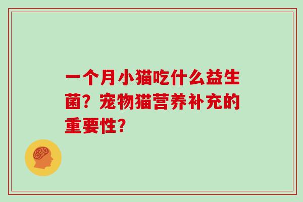一个月小猫吃什么益生菌？宠物猫营养补充的重要性？