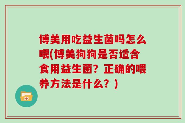 博美用吃益生菌吗怎么喂(博美狗狗是否适合食用益生菌？正确的喂养方法是什么？)
