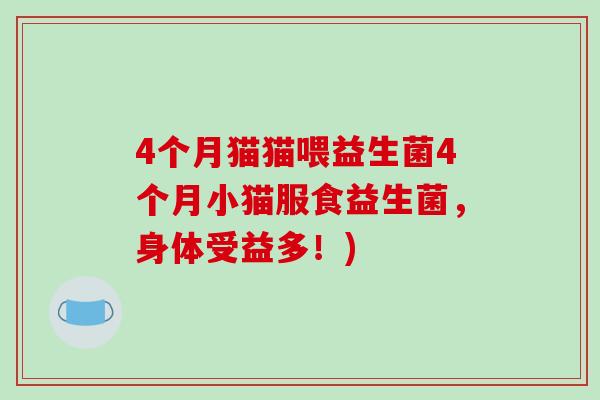 4个月猫猫喂益生菌4个月小猫服食益生菌，身体受益多！)