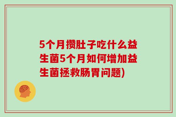 5个月攒肚子吃什么益生菌5个月如何增加益生菌拯救肠胃问题)