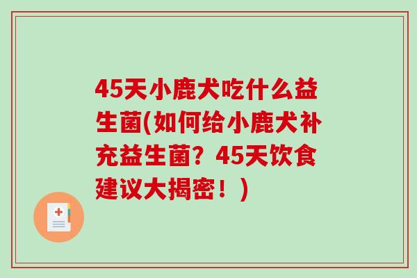 45天小鹿犬吃什么益生菌(如何给小鹿犬补充益生菌？45天饮食建议大揭密！)