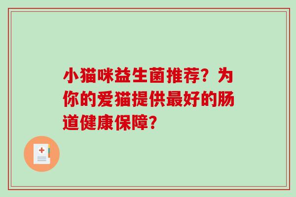 小猫咪益生菌推荐？为你的爱猫提供最好的肠道健康保障？