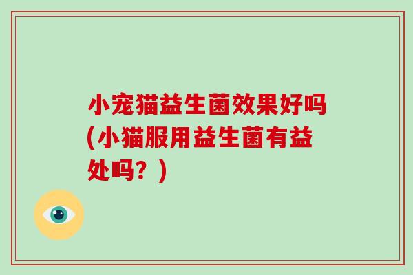 小宠猫益生菌效果好吗(小猫服用益生菌有益处吗？)