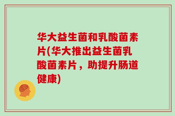 华大益生菌和乳酸菌素片(华大推出益生菌乳酸菌素片，助提升肠道健康)