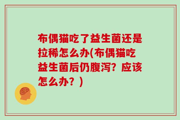布偶猫吃了益生菌还是拉稀怎么办(布偶猫吃益生菌后仍腹泻？应该怎么办？)