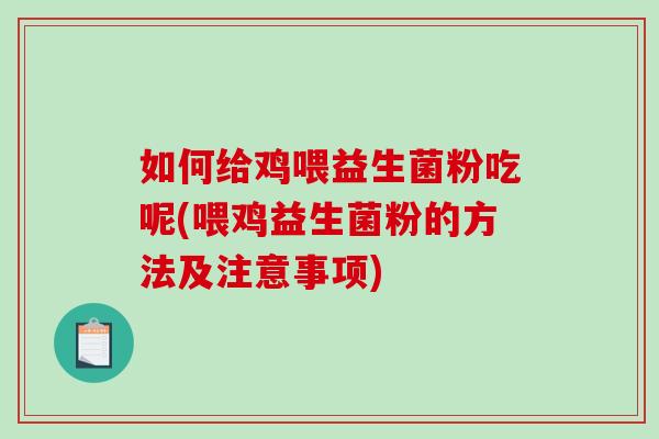 如何给鸡喂益生菌粉吃呢(喂鸡益生菌粉的方法及注意事项)