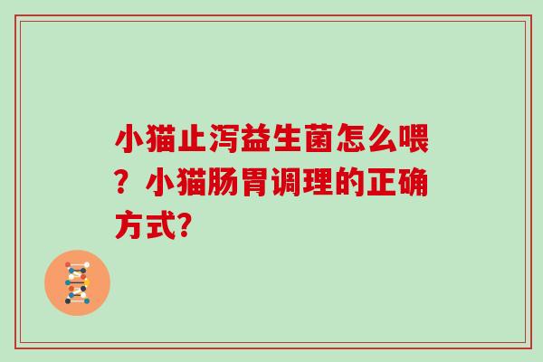 小猫止泻益生菌怎么喂？小猫肠胃调理的正确方式？