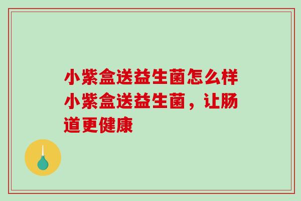 小紫盒送益生菌怎么样小紫盒送益生菌，让肠道更健康